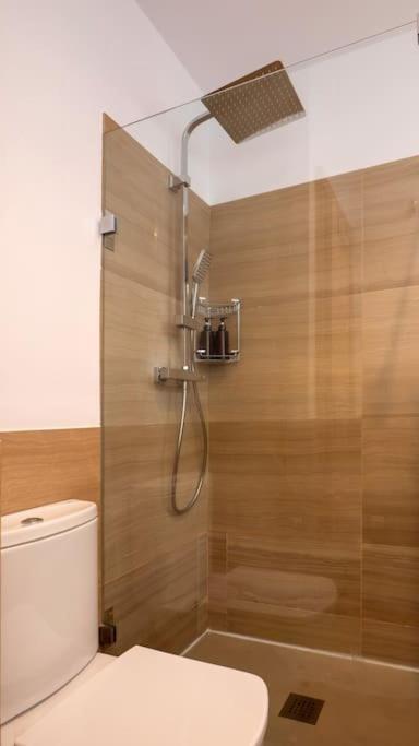 Pyl Apto Centro Junto Catedral Terraza Privada Appartement Séville